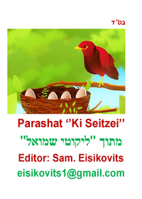 תמונה ממוזערת של likutei shmuel - parasha